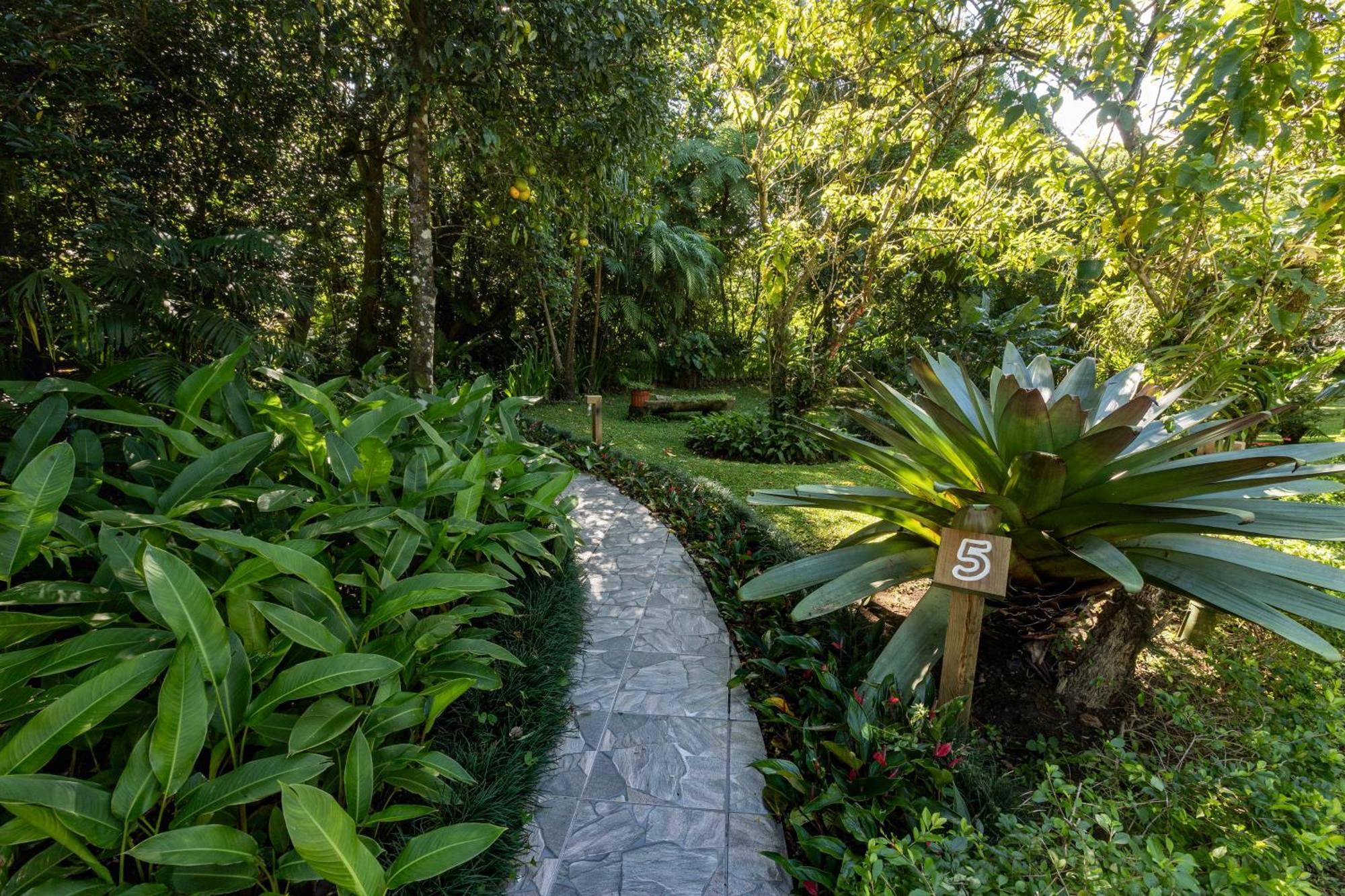 Cabanas Valle Campanas - Monteverde, Costa Rica Eksteriør billede
